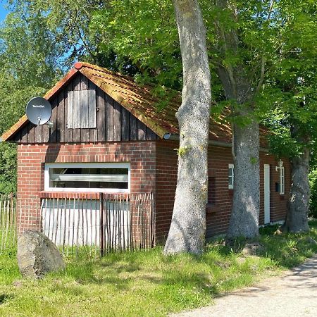 Hofgut Bisdamitz - Ferienhaus "Knoff" Exterior foto