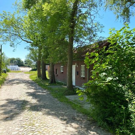 Hofgut Bisdamitz - Ferienhaus "Knoff" Exterior foto