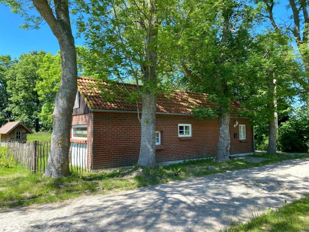 Hofgut Bisdamitz - Ferienhaus "Knoff" Exterior foto